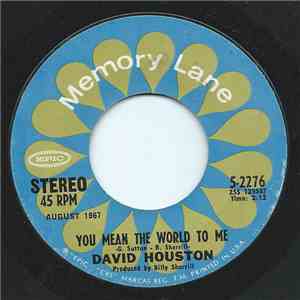 David Houston - You Mean The World To Me / Have A Little Faith mp3 album