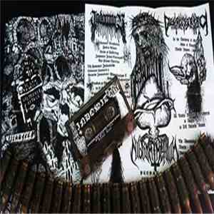Destroyer Attack, Indomitor - Death Temple mp3 album