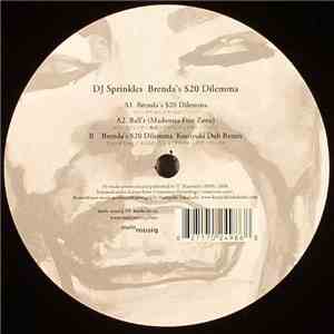 DJ Sprinkles - Brenda's $20 Dilemma mp3 album