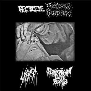 Fentanyl Surprise, Rectocele, Sete Star Sept, Floridian Car Bomb - 4 Way Split mp3 album