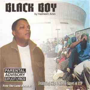 Hasheem Amin - Black Boy mp3 album