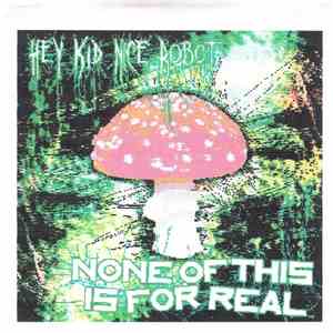 Hey Kid Nice Robot - None Of This Is For Real mp3 album