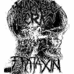 Hypnic Jerk  / Frataxin - Hypnic Jerk / Frataxin mp3 album