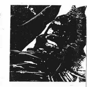 Kakerlak - Ligature Ferment mp3 album