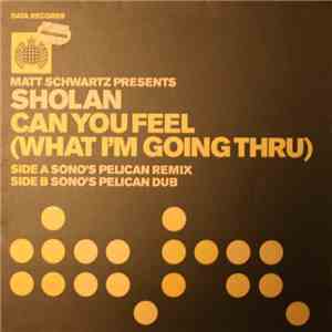 Matt Schwartz Presents Sholan - Can You Feel (What I'm Going Thru) (Sono Remixes) mp3 album