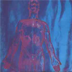 Nirvana - Sliver mp3 album