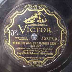 Roger Wolfe Kahn And His Orchestra - Where The Wild, Wild Flowers Grow / Calling mp3 album