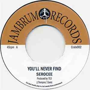 Serocee - You'll Never Find mp3 album