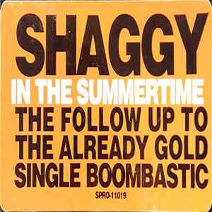 Shaggy - In The Summertime mp3 album