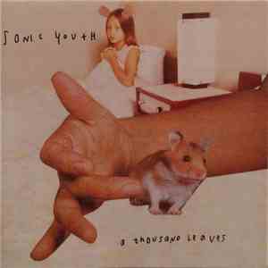 Sonic Youth - A Thousand Leaves mp3 album