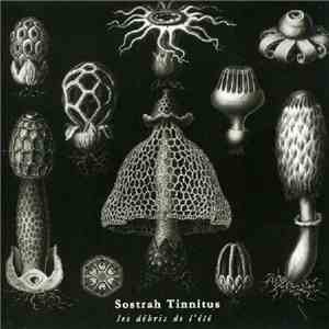 Sostrah Tinnitus - Les Débris De L'Été mp3 album