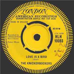 The Knickerbockers - Rumors, Gossip, Words Untrue mp3 album