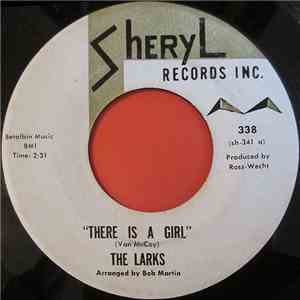 The Larks  - There Is A Girl / Let's Drink A Toast mp3 album