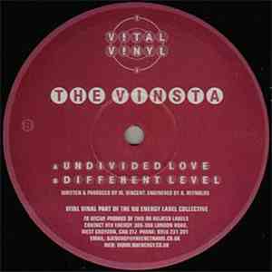 The Vinsta - Undivided Love / Different Level mp3 album