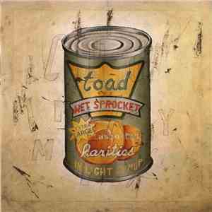 Toad The Wet Sprocket - In Light Syruph1