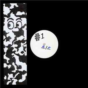 Unreasonable Echo - Deep Cover #1 mp3 album