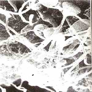 Various - Devastate To Liberate mp3 album