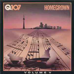 Various - Q107 Homegrown - Volume V mp3 album