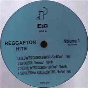Various - Reggaeton Hits Volume 1 mp3 album
