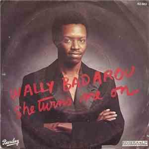 Wally Badarou - She Turns Me On mp3 album