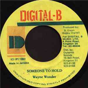 Wayne Wonder - Someone To Hold mp3 album
