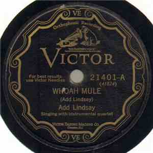 Add Lindsay - Whoa Mule / Turnip Greens mp3 album