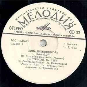 Алла Кожевникова - Камыши mp3 album