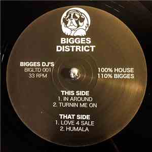 BIGGES DJ'S - BIGGES 001 mp3 album
