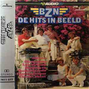 BZN - De Hits In Beeld mp3 album