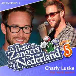 Charly Luske - Het Werd Zomer mp3 album