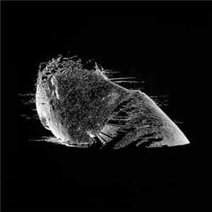 Coldplay - The Scientist mp3 album