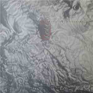 Felt - Ignite The Seven Cannons And Set Sail For The Sun mp3 album