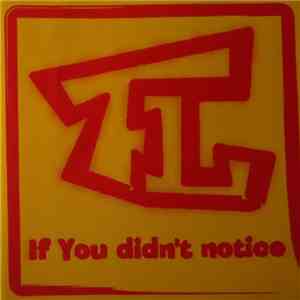 Fuzzy Lumpkin - If You Didn't Notice mp3 album