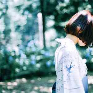 Hiroto Kudo - Petals mp3 album
