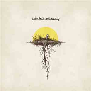 Jadon Lavik - Roots Run Deep mp3 album