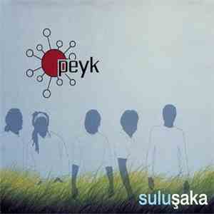 Peyk - Sulu Şaka mp3 album