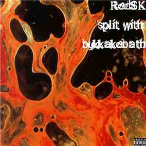 RedSK & Bukkakebath - RedSK Split With Bukkakebath mp3 album