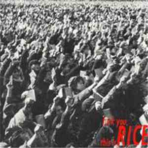 Rice  - Fuck You, This Is Rice mp3 album