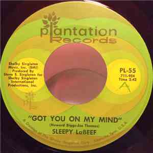 Sleepy La Beef - Too Much Monkey Business mp3 album
