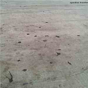 Spectral_Traveler - Spectral_Traveler mp3 album