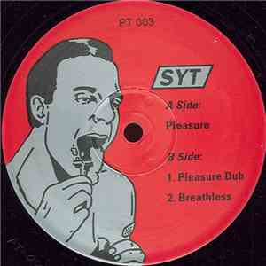 SYT - Pleasure mp3 album