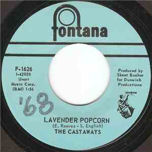 The Castaways - Lavender Popcorn / What Kind Of Face mp3 album