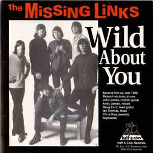 The Missing Links - Wild About You mp3 album