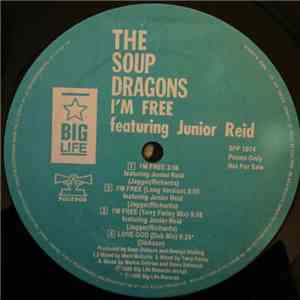 The Soup Dragons Featuring Junior Reid - I'm Free mp3 album