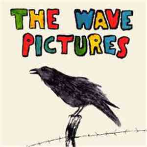 The Wave Pictures - City Forgiveness mp3 album