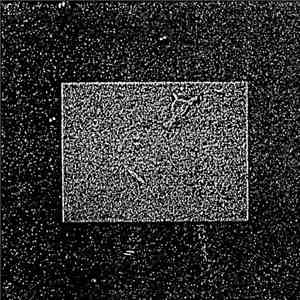 v. - l.a.55 mp3 album