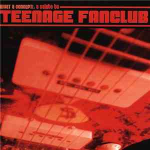 Various - What A Concept!: A Salute To Teenage Fanclub mp3 album