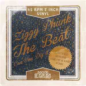Ziggy Phunk - The Beat mp3 album