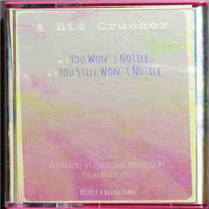 A Bit Crusher - You Won't Notice / You Still Won't Notice mp3 album
