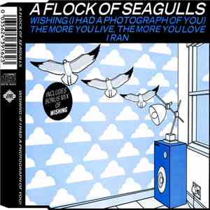 A Flock Of Seagulls - Wishing (If I Had A Photograph Of You) / The More You Live, The More You Love / I Ran mp3 album